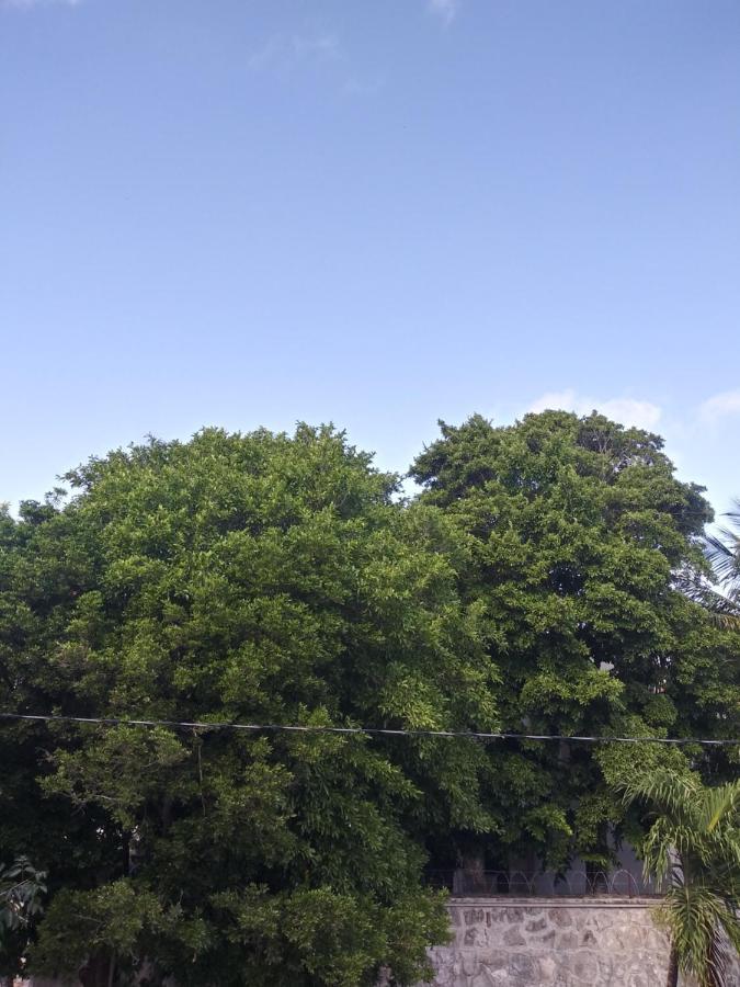 Los Balcones Puerto Morelos Dış mekan fotoğraf