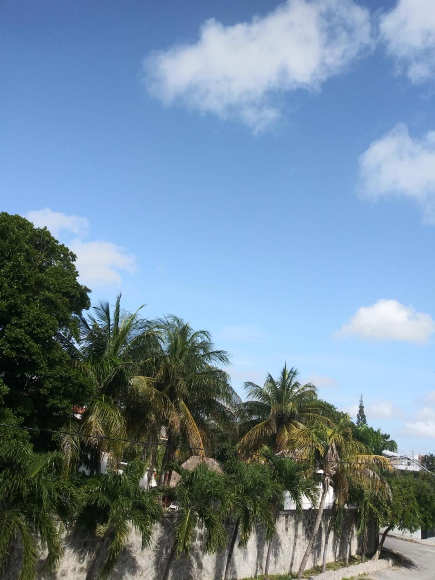 Los Balcones Puerto Morelos Oda fotoğraf